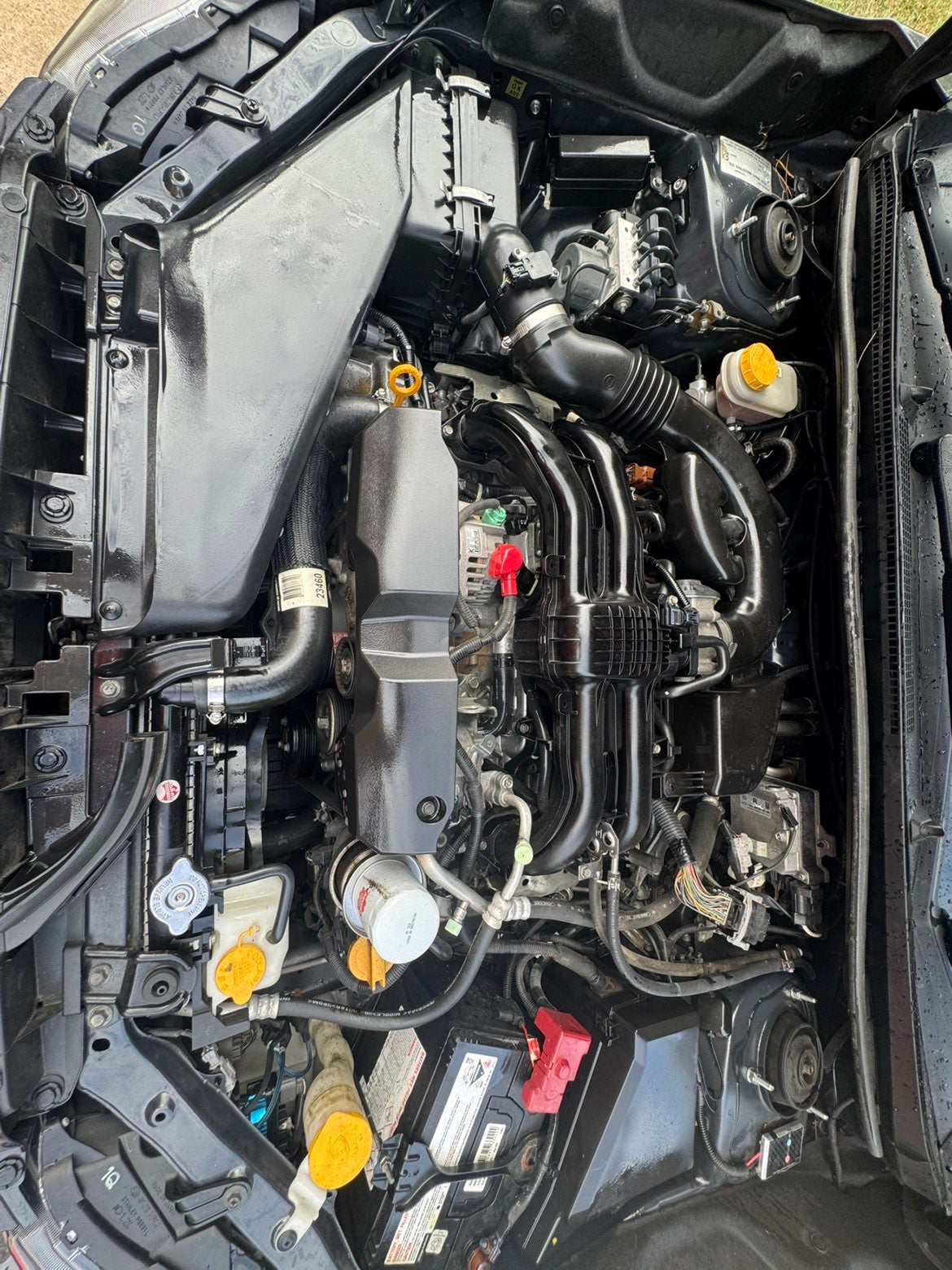 Full Detail