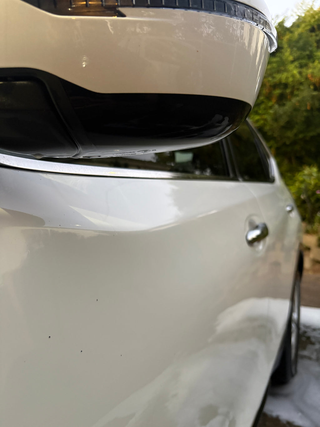 Maintenance Detail